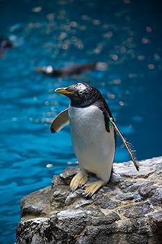 【ALBO】 天使と鳥 / 天童とリスのナプキンリング　6個【純銀】 ALBO】 天使と鳥 / 天童とリスのナプキンリング6個【純銀】